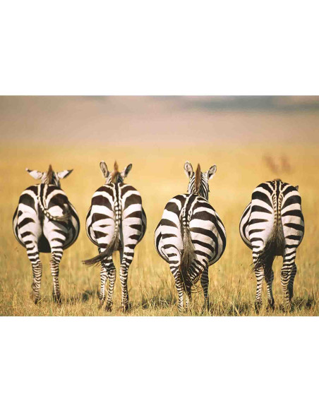 Puzzle Zebre In Savana, 300 Piese,RVSPA13312