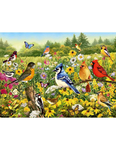Puzzle Pasarele Colorate, 500 Piese,RVSPA16988