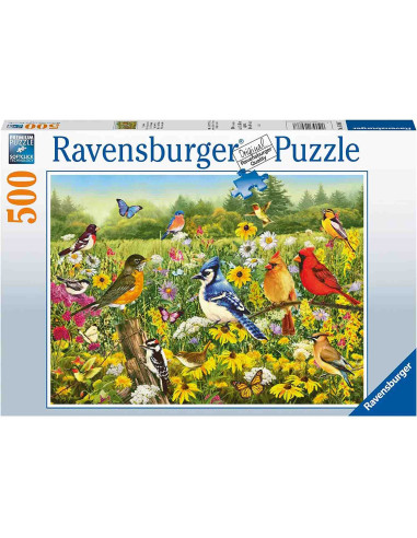 Puzzle Pasarele Colorate, 500 Piese,RVSPA16988