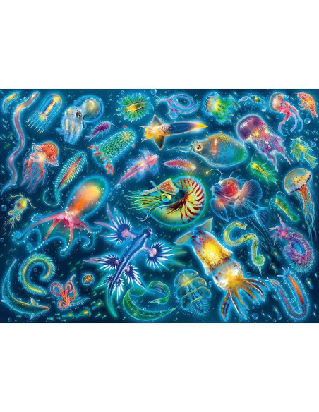 Puzzle Specii Marine Colorate, 500 Piese,RVSPA17375