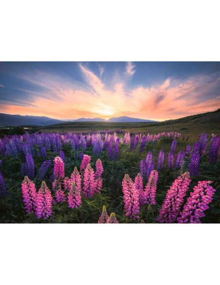 Puzzle Camp Cu Lupin, 500 Piese,RVSPA17492