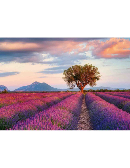 Puzzle Camp De Lavanda, 1000 Piese,RVSPA16724