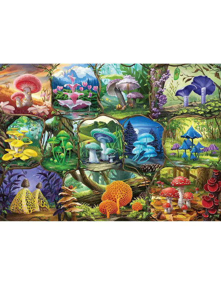 Puzzle Ciuperci Colorate, 1000 Piese,RVSPA17312