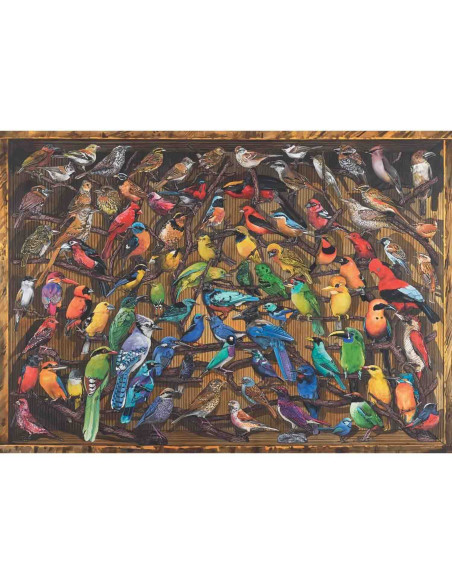 Puzzle Curcubeu De Pasari, 1000 Piese,RVSPA17478