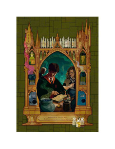 Puzzle Harry Potter Si Printul Semipur, 1000 Piese,RVSPA16747