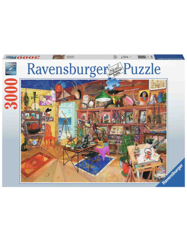 Puzzle Colectii Curioase, 3000 Piese,RVSPA17465