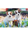 Puzzle Catelusi, 2X12 Piese,RVSPC05636