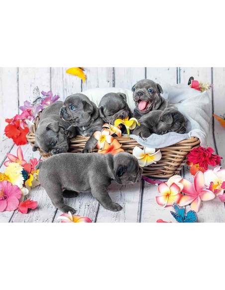 Puzzle Catelusi, 2X12 Piese,RVSPC05636