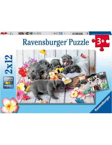 Puzzle Catelusi, 2X12 Piese,RVSPC05636