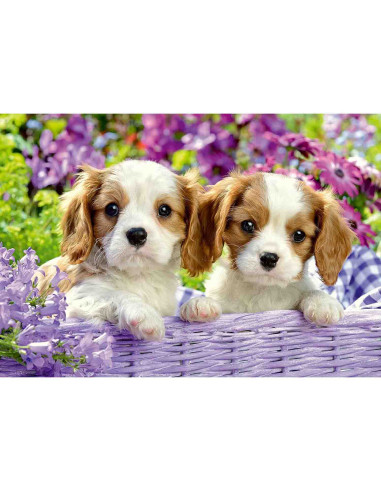 Puzzle Catelusi, 2X24 Piese,RVSPC05029