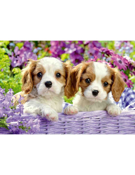 Puzzle Catelusi, 2X24 Piese,RVSPC05029