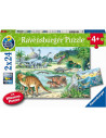 Puzzle Dinozauri, 2X24 Piese,RVSPC05128