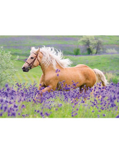 Puzzle Cai, 2X24 Piese,RVSPC05148 2