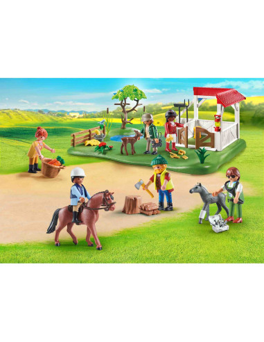 Playmobil - Creeaza Propria Figurina - Ferma De Cai,70978