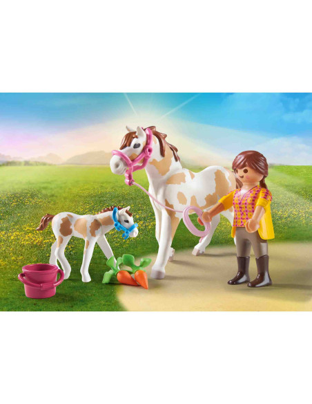 Playmobil - Cal Cu Manz,71243