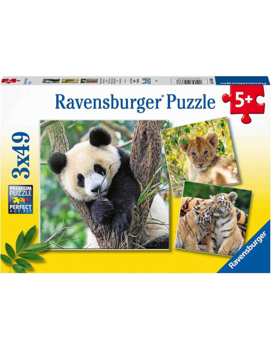 Puzzle Panda, Leu Si Tigru, 3X49 Piese,RVSPC05666