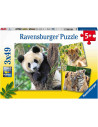 Puzzle Panda, Leu Si Tigru, 3X49 Piese,RVSPC05666