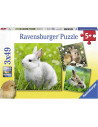 Puzzle Iepurasi, 3X49 Piese,RVSPC08041