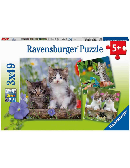 Puzzle Pisicute Tigrate, 3X49 Piese,RVSPC08046