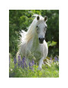 Puzzle Cal Alb, 100 Piese,RVSPC12927