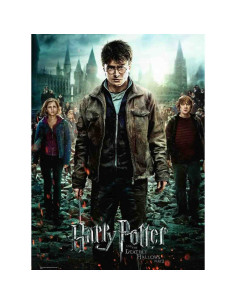 Puzzle Harry Potter Si Talismanele Mortii, Partea 2, 300