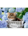 Puzzle Pisicuta Intre Flori, 300 Piese,RVSPC12894