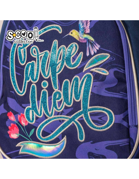 Ghiozdan anatomic LIGHT CARPE DIEM, 41x28x21 cm S-COOL,SC2155