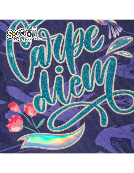 Ghiozdan anatomic LIGHT CARPE DIEM, 41x28x21 cm S-COOL,SC2155