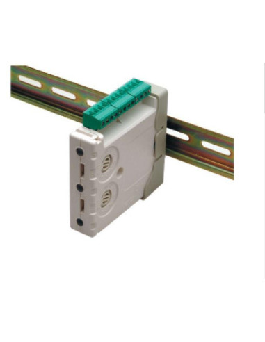 Honeywell Morley-IAS Modul 2 intrări si 1 ieșire, cu,MI/D2ICM0E