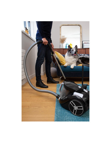 Aspirator fara sac ROWENTA Compact Power XXL RO4886EA, 2.5l, 550W, 75dB,