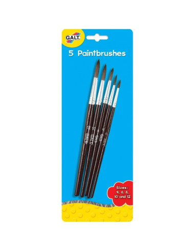 Set 5 pensule pictura,A3319H