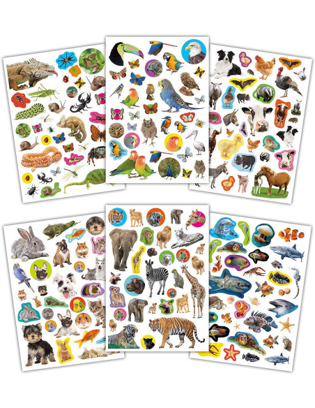 Carte cu abtibilduri - Animalute,1005032