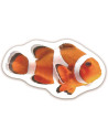 Carte cu abtibilduri - Animalute,1005032