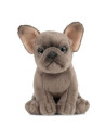 Catelus de plus Bulldog,AN437