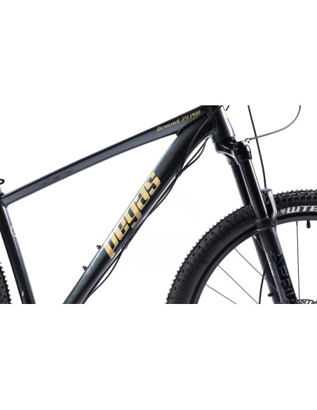 Bicicleta MTB Pegas DRUMET PRO M 29'' GRI,DRUMETPM10S1GR