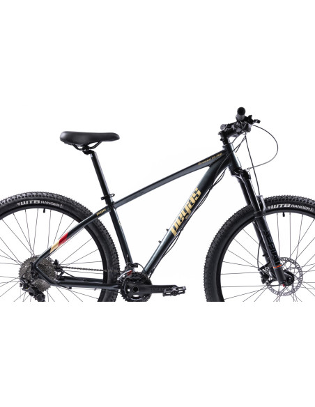 Bicicleta MTB Pegas DRUMET PRO M 29'' GRI,DRUMETPM10S1GR