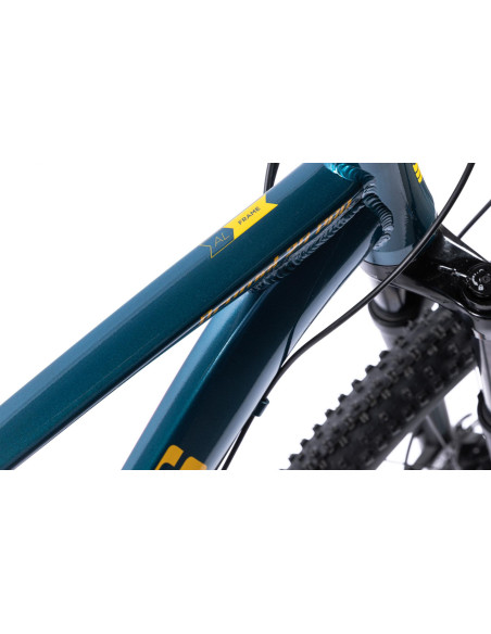 Bicicleta MTB Pegas DRUMET PRO L 29'' ALBASTRU,DRUMETPL10S1AG