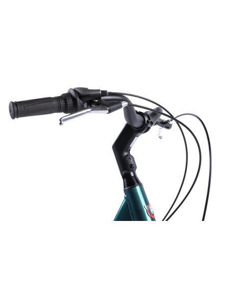 Bicicleta Oras Pegas Comoda Verde Pin (,COMODA7S261AP