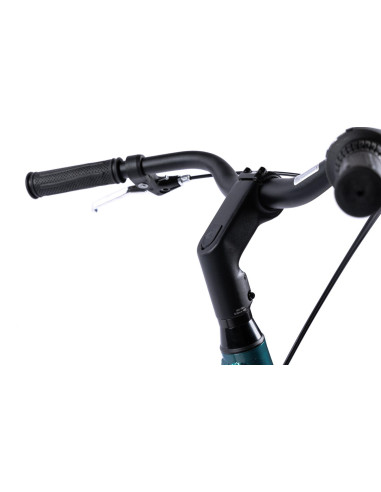 Bicicleta Oras Pegas Comoda Verde Pin (,COMODA7S261AP