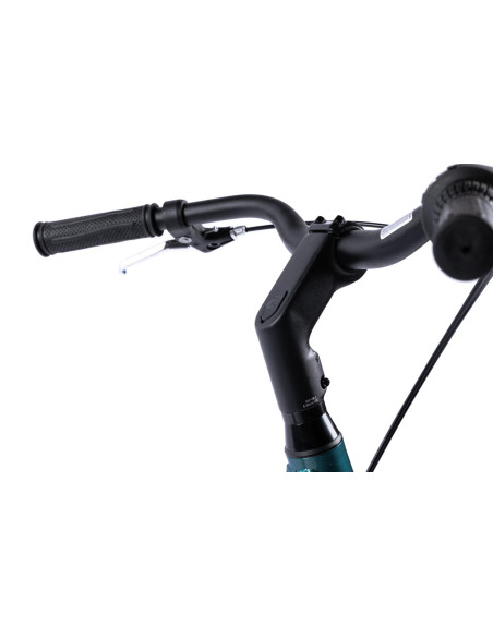 Bicicleta Oras Pegas Comoda Verde Pin (,COMODA7S261AP