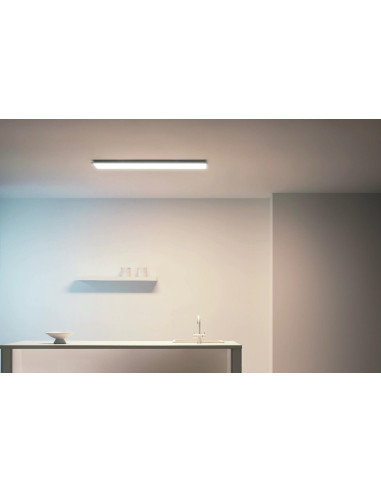 Panou LED WiZ Panel RT, Wi-Fi, control vocal, 36W, 3400 lm