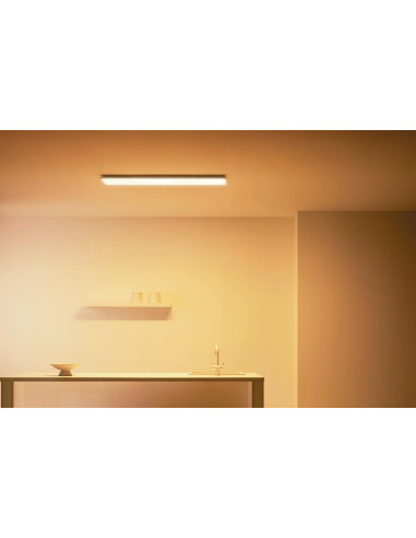 Panou LED WiZ Panel RT, Wi-Fi, control vocal, 36W, 3400 lm
