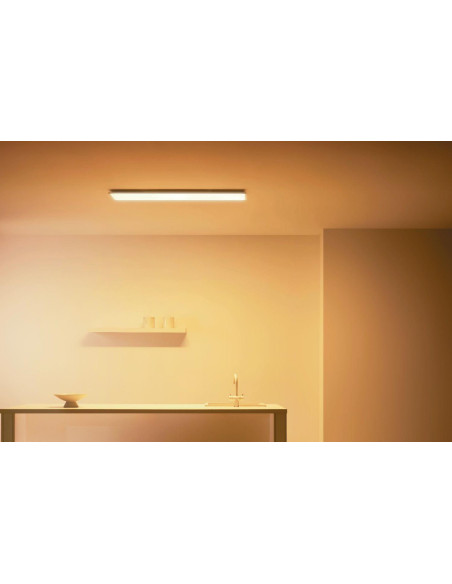 Panou LED WiZ Panel RT, Wi-Fi, control vocal, 36W, 3400 lm
