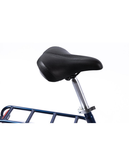 Bicicleta Pliabila Pegas Practic Retro 3S