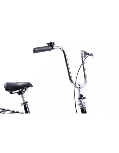 PEGAS PRACTIC RETRO 20'' OTEL 1S,PRACTICR1S201NC