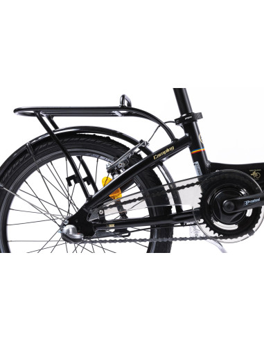 Bicicleta Pliabila Pegas Camping 3S Negru Mat (