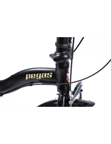 Bicicleta Pliabila Pegas Camping 3S Negru Mat (