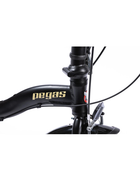 Bicicleta Pliabila Pegas Camping 3S Negru Mat (