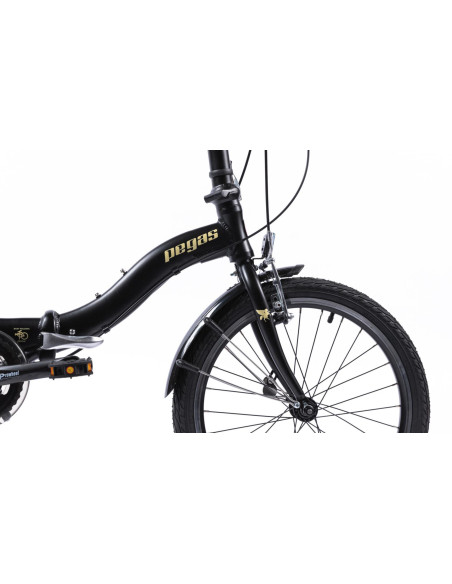 Bicicleta Pliabila Pegas Camping 3S Negru Mat (