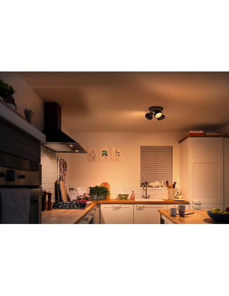Spot LED Triplu Philips Bukko, 24V, 3x4.3W, 1200 lm